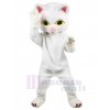 Chat costume de mascotte