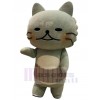 Chat costume de mascotte