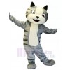 Chat costume de mascotte