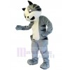 Chat costume de mascotte