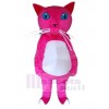 Chat costume de mascotte