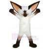 Chat costume de mascotte