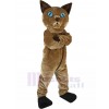 Chat costume de mascotte