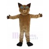 Chat costume de mascotte