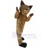 Chat costume de mascotte