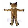 Chat costume de mascotte