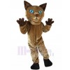 Chat costume de mascotte
