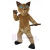 Chat costume de mascotte