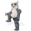 Chat costume de mascotte