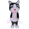 Chat costume de mascotte