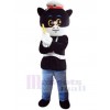 Chat costume de mascotte