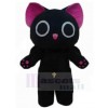 Chat costume de mascotte