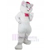 Chat costume de mascotte