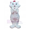 Chat costume de mascotte