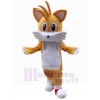 Chat costume de mascotte