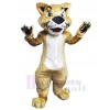 Chat costume de mascotte