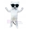 Chat costume de mascotte