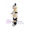 Chat costume de mascotte