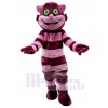 Chat costume de mascotte