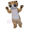 Chat costume de mascotte