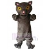 Chat costume de mascotte