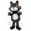 Chat costume de mascotte