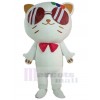 Chat costume de mascotte