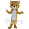 Chat costume de mascotte