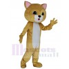 Chat costume de mascotte