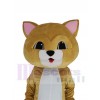 Chat costume de mascotte