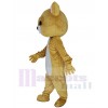 Chat costume de mascotte
