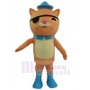 Chat costume de mascotte