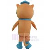 Chat costume de mascotte