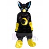 Chat costume de mascotte