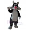 Chat costume de mascotte