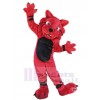 Chat costume de mascotte