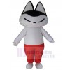 Chat costume de mascotte