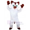 Chat costume de mascotte