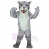 Chat costume de mascotte