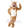 Chat costume de mascotte