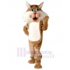 Chat costume de mascotte