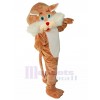 Chat costume de mascotte