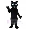 Chat costume de mascotte