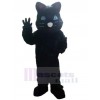 Chat costume de mascotte