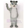 Chat costume de mascotte