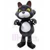 Chat costume de mascotte