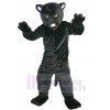 Chat costume de mascotte