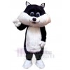 Chat costume de mascotte