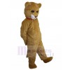 Chat costume de mascotte