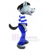 Loup costume de mascotte